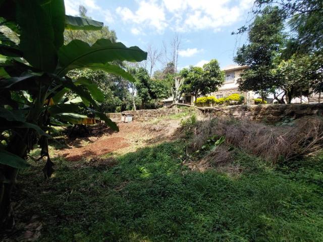 Riara Road