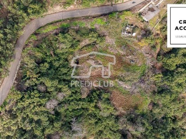 Ribeira Brava Ilha da Madeira 86681700