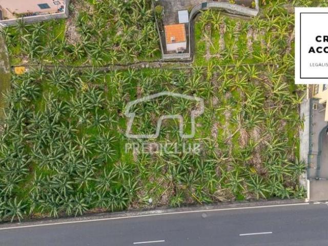 Ribeira Brava Ilha da Madeira 98403817