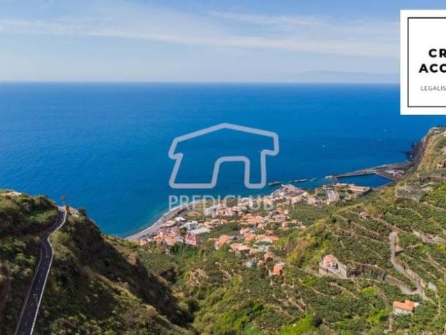 Ribeira Brava Ilha da Madeira 100203105