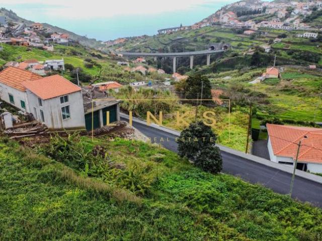Ribeira Brava Ilha da Madeira 100231735