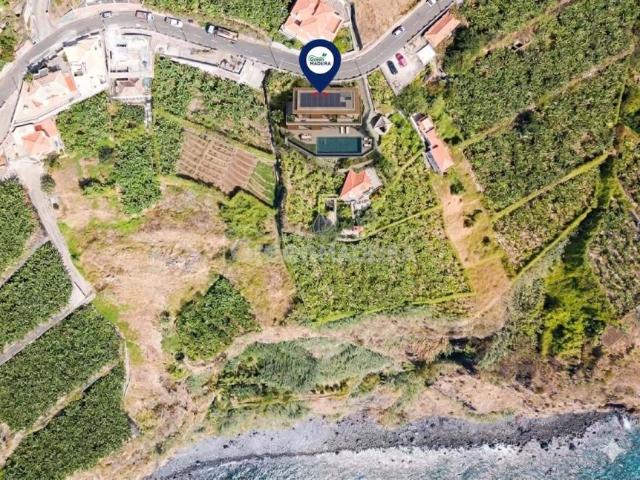 Ribeira Brava Ilha da Madeira 101642043