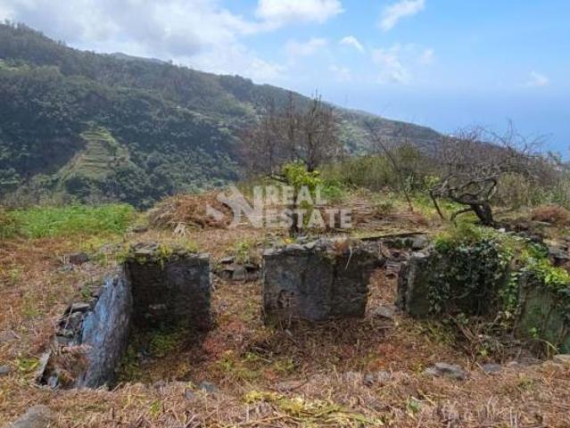 Ribeira Brava Ilha da Madeira 101220330