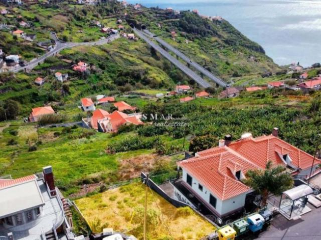 Ribeira Brava Ilha da Madeira 102660774