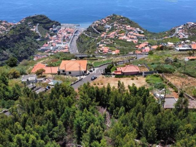 Ribeira Brava Ilha da Madeira 103579578