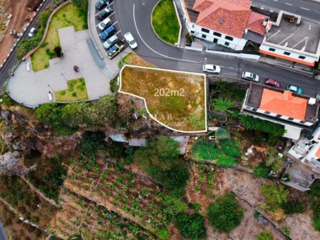 Ribeira Brava Ilha da Madeira 103396528