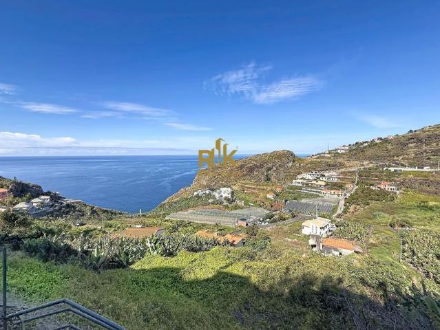 Ribeira Brava Ilha da Madeira 103396533