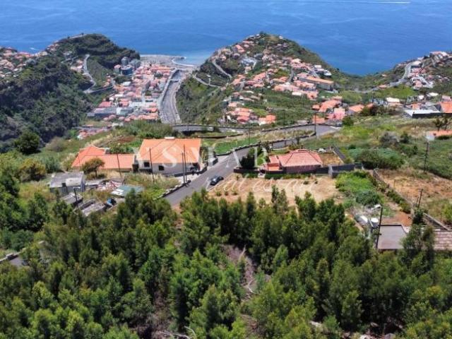 Ribeira Brava Ilha da Madeira 104711959