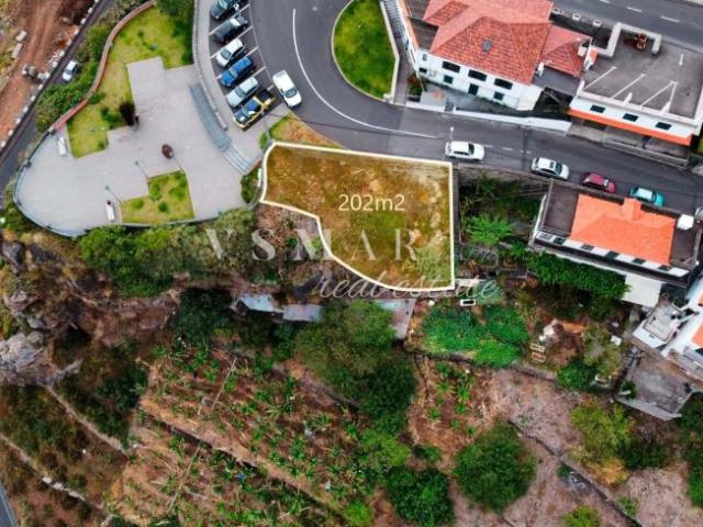 Ribeira Brava Ilha da Madeira 105088852