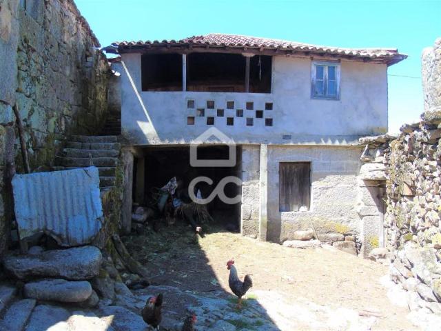 Ribeira de Pena Vila Real 79074279