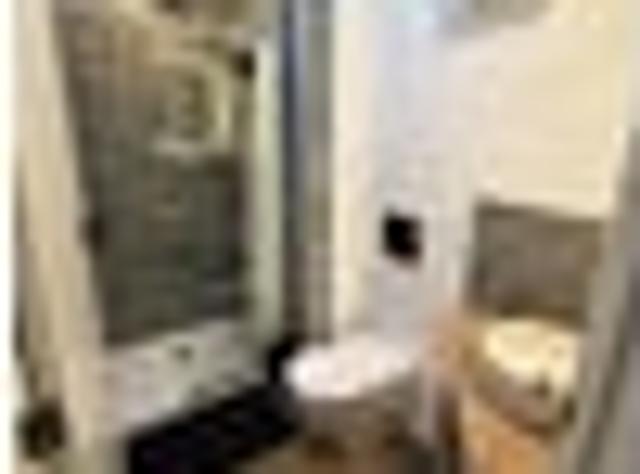 Riccarton, 3 bedrooms, $550 pw