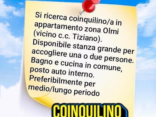 Ricercasi coinquilino/i