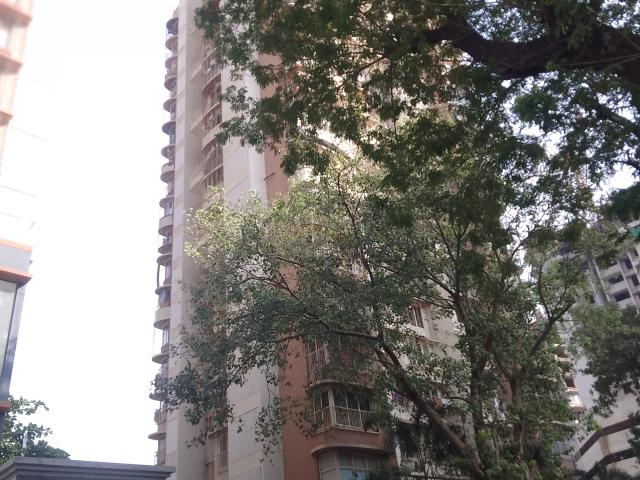 Riddhi Rajendra Nagar Swagat CHS 2 Bedroom 676 Sq. Ft. Apartment in Datta Pada Mumbai Listing ID: #9811