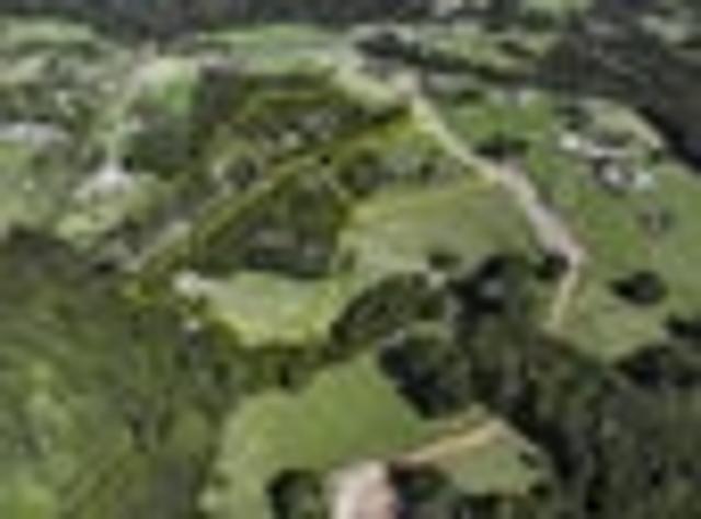 Ridgeland Farm Estate Parua Bay