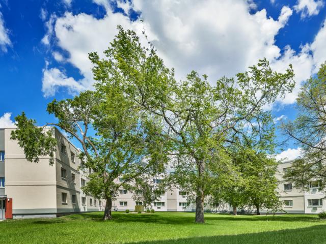 Ridgeview Gardens 1 Bedroom Apartment for Rent at 438 Partridge Ave && 904 Mcgregor St, Winnipeg, MB R2V None Jefferson