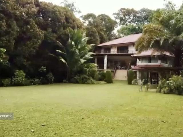 Ridout Road D10, Detached