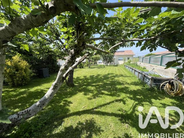 Rieumes Vente Maison 31