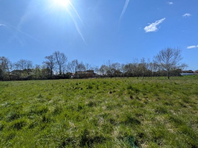 Rieumes Vente Terrain 31