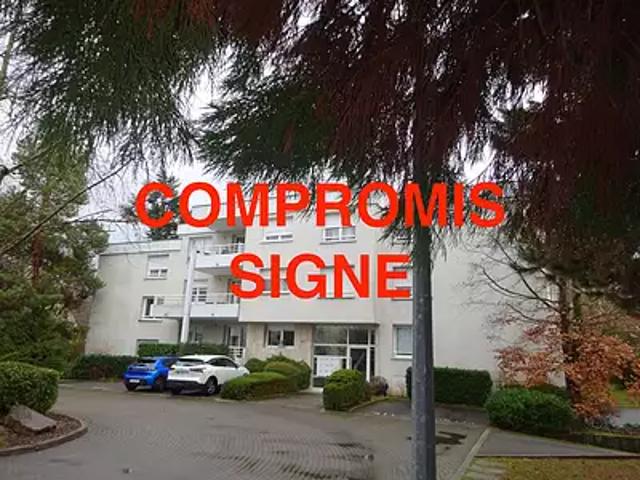 Riedisheim 68400 Achat / Vente appartement 4 pièces t4 terrasse cave