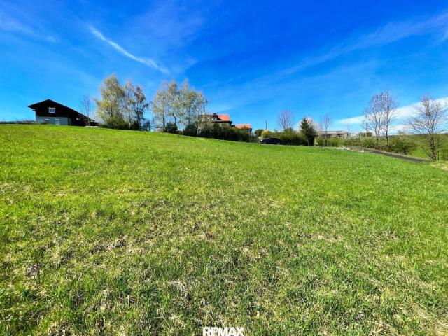 Sommeraktion Ries: Leistbares, Sonniges Grundstück am Rande von Graz!