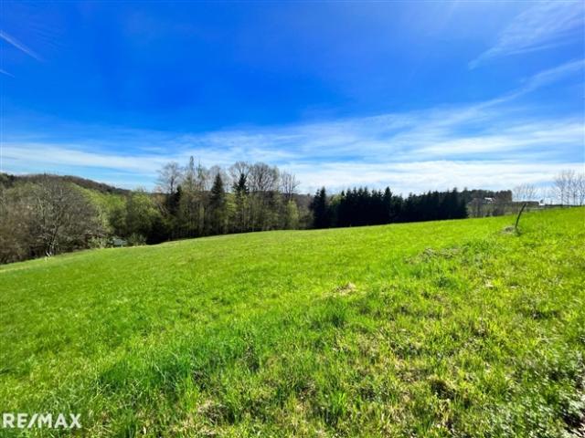 SOMMERAKTION – RIES 590 m² sonniges Baugrundstück nahe Graz!