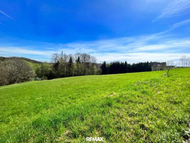 SOMMERAKTION – RIES: 590 m² sonniges Baugrundstück nahe Graz!