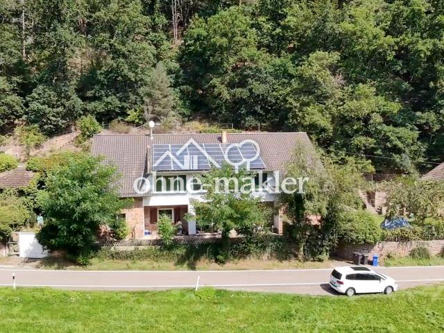Riesiges Grundstück in Altleiningen allein im Tal mit Burgblick