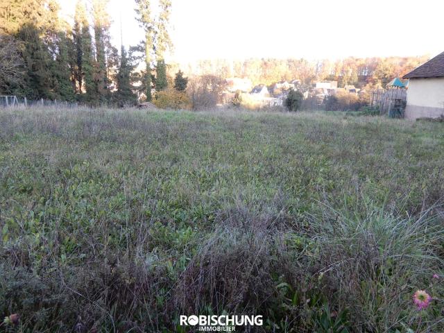 RIESPACH: Terrain hors lotissement