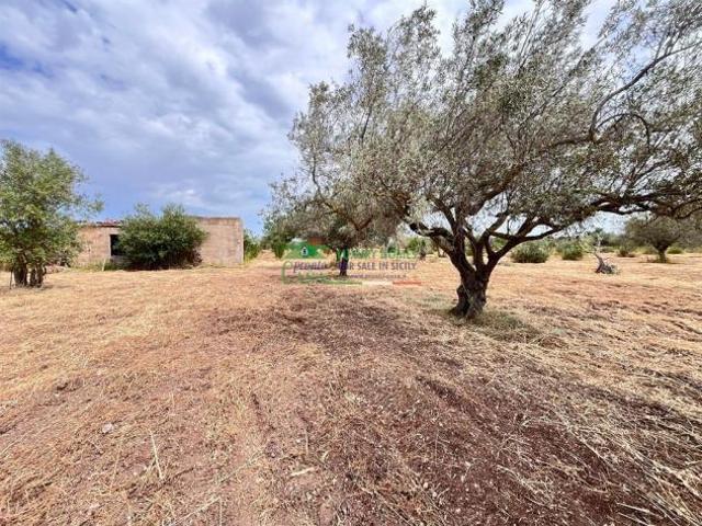 Rif:2710 Terreno Agricolo con Uliveto nella Campagna di Comiso – Zona Aeroporto