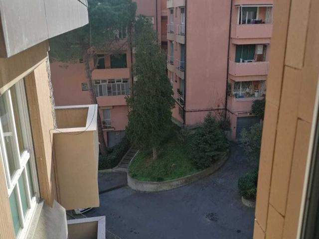 Rif. 4179 Appartamento, Trilocale Affitto