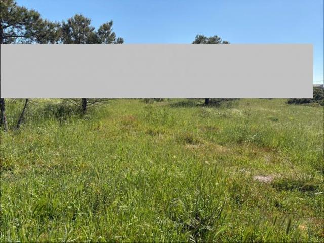 RIF. 470 LOTTI DI TERRENO DOMIZIANA €30.000,00