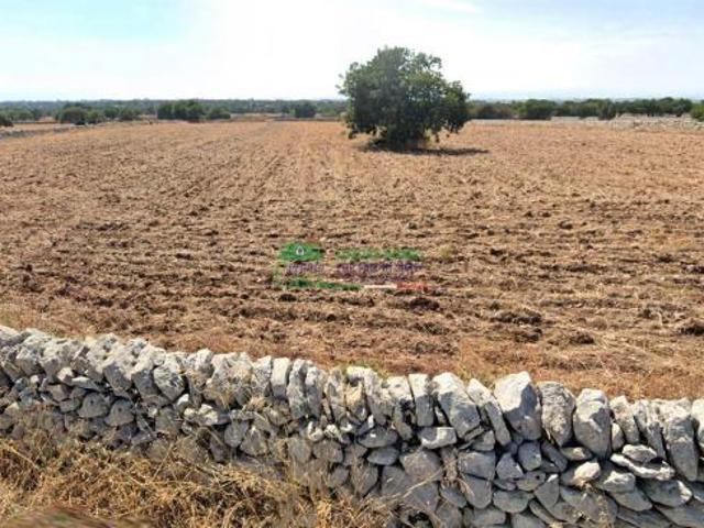Rif. 9645 Terreno agricolo pianeggiante 'Palazzola'