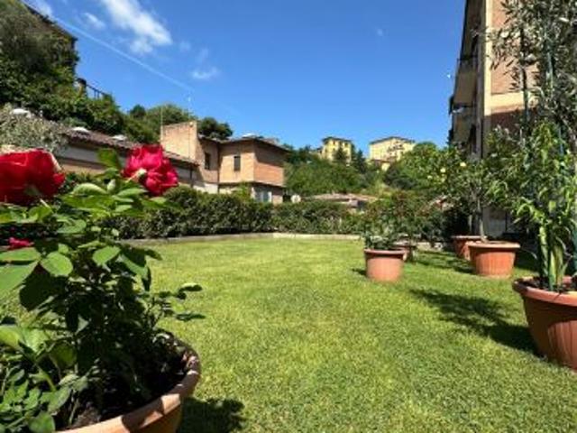 Rif. S2670 Siena Camollia – zona Le Lupe Giardino e posto auto