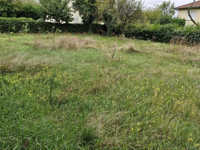 Rillieux la Pape Vente Terrain 69