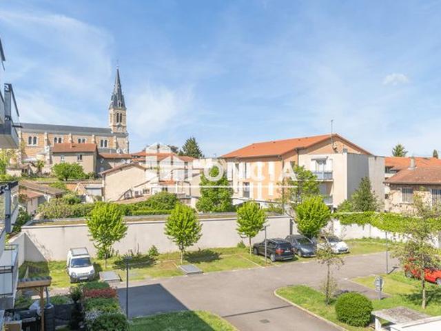 Rillieux proximite du village et de ses commodites