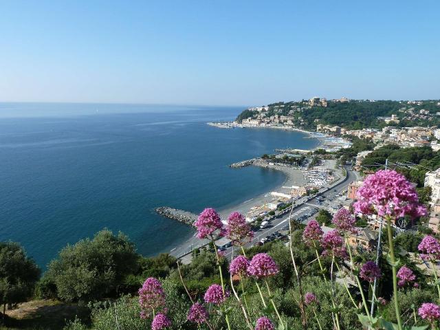 Ristorante in vendita a Arenzano