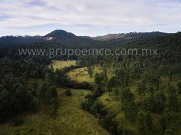 Terreno En Venta En Corral Falso, Mazamitla