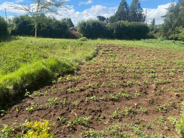 Riverpark Narok