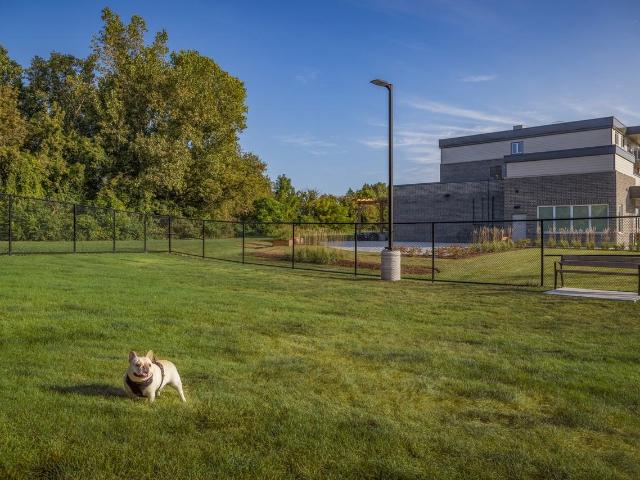 River's Edge Apartments 2 Bedroom Apartment for Rent at 57 Riverview Dr, Chatham Kent, ON N7M 0T8 Chatham