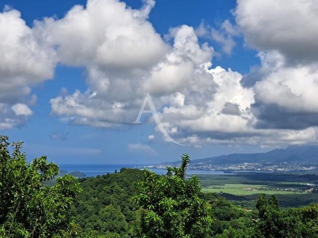 Rivière Salée Vente Maison 97