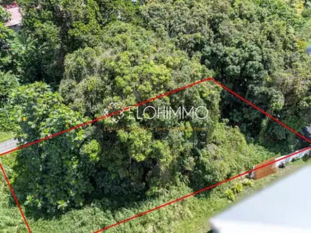 Rivière Salée 97215 Achat / Vente terrain