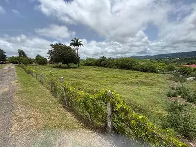 Rivière Salée 97215 Achat / Vente terrain