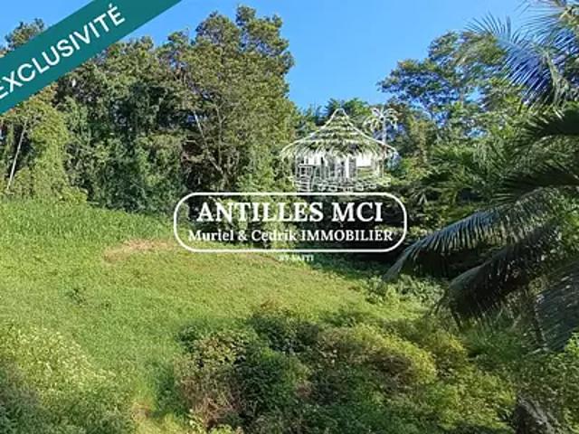 Rivière Salée 97215 Achat / Vente terrain
