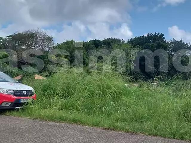 Rivière Salée 97215 Achat / Vente terrain