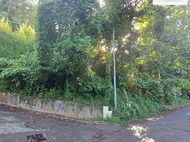 Rivière Salée 97215 Achat / Vente terrain