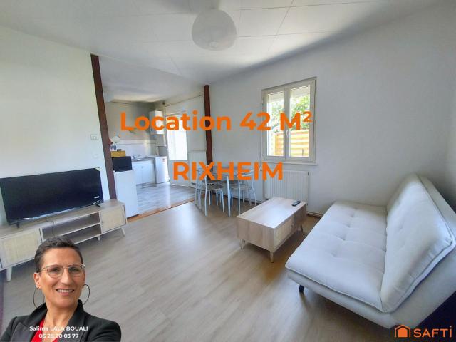 Rixheim Location Appartement 68