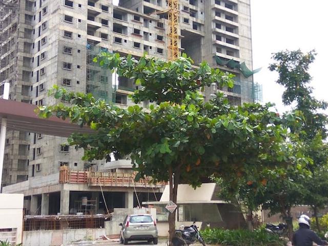 RJ Lake Gardenia 3 Bedroom 1950 Sq. Ft. Apartment in Old Madras Road Bangalore Listing ID: #10424