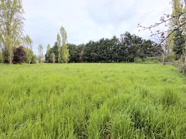Romagne Vente Terrain 33