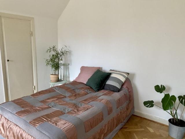 Romakloster 2rok 3mån 16.100kr/mån 65 m² 16 100 kr