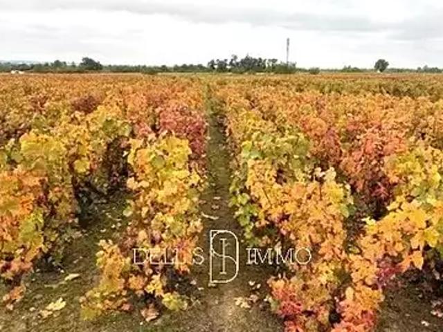 Romanèche Thorins 71570 Achat / Vente terrain